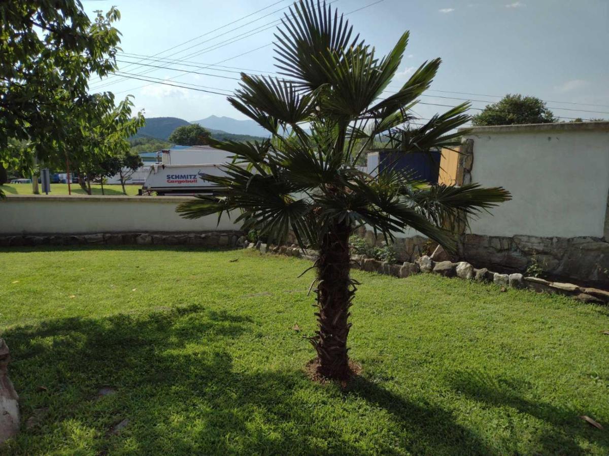 Shale Apartments And Rooms Gevgelija Exteriör bild